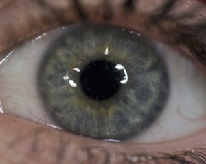 blue eye